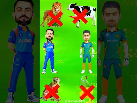 Animals Ka Food Kon HaiLion, Cow, Monkey, Parrot, Funny VfxShorts#Shorts #youtubeshorts