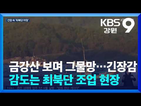 <strong>금강산</strong> 보며 그물망…긴장감 감도는 최북단 조업 현장 / KBS  2026.10.07.