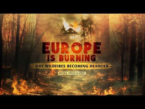 Europe is Burning: Why Are Wildfires Becoming Deadlier? | WION Wideangle