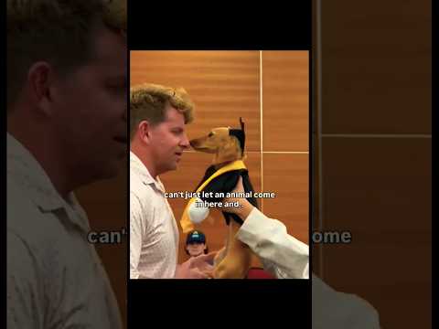 Doggy wins her place at University Class 🐶 #motivational #inspiration #awesome