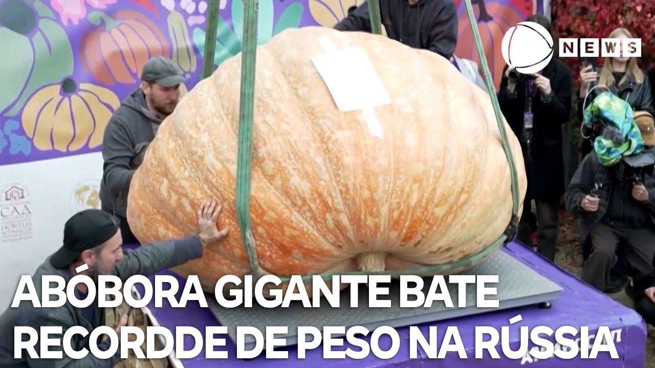 Abóbora gigante de quase uma tonelada bate recorde de peso na Rússia