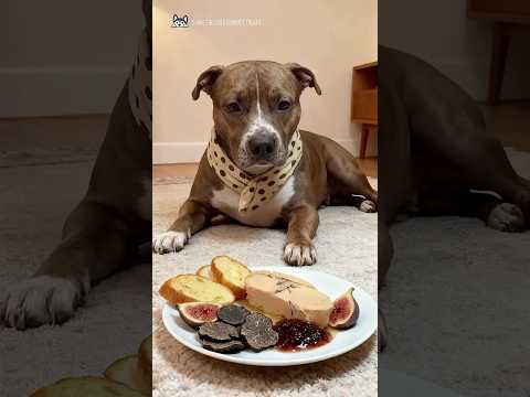 This dog's diet puts mine to shame