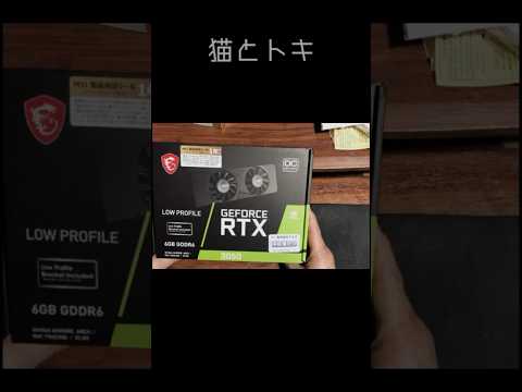 GeForce RTX GTX 3050の特徴と選び方：ゲーミングと動画編集におすすめのポイント サムネイル