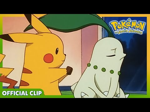 Pokemon TCG News