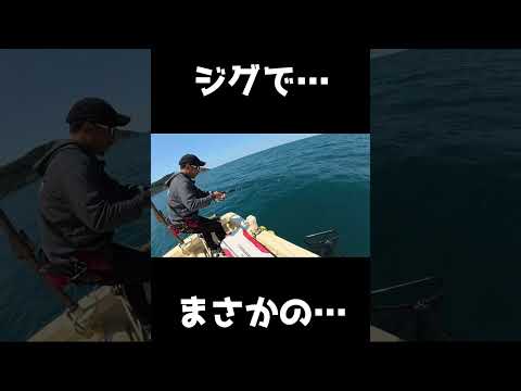 メタルエフェクトブレードは何でも釣れます#離島生活#ジャクソン