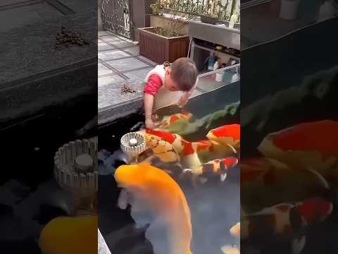 Adek sama ikan #riaab22 #trendingshorts