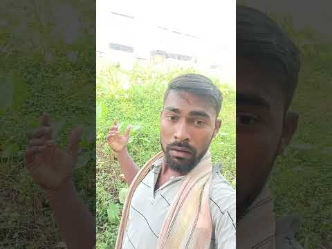 #timelapse, start to finish alone build log cabin (wooden house), how to build wooden cabin, surviva