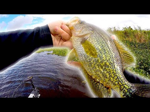 Fishing for Crappie with BEST NEW Jigs!!
