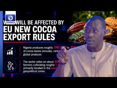 EU Rules Threaten Nigeria Cocoa Farmers