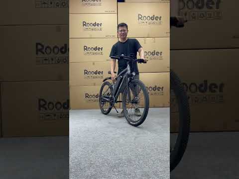 Electric bike factory Rooder