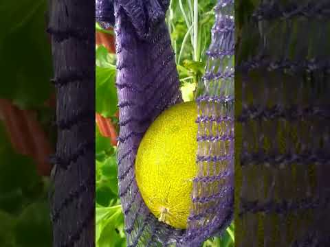 #дача #омск #мудрыеслова #если ты сильно переживаешь, запомни...... #shorts