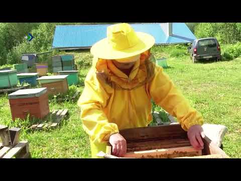 Агростартап