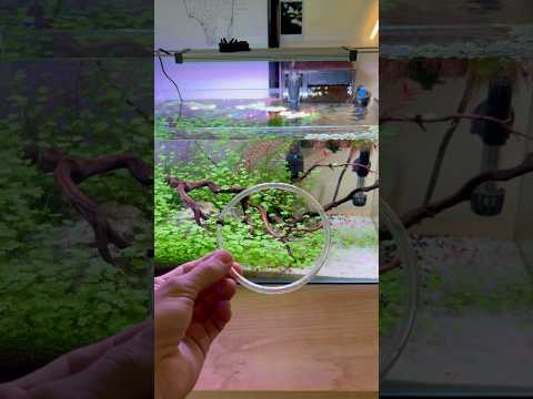 No more floating plants being pushed around #youtu 