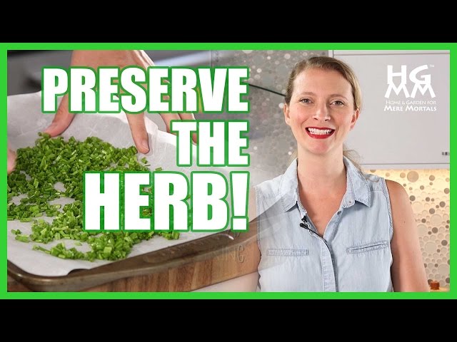 How To Preserve Oregano For The Best Flavor