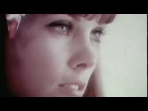 Boards Of Canada - Open The Light (HQ) Video
