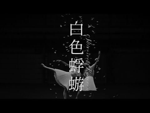Aimer「白色蜉蝣」 Music Video