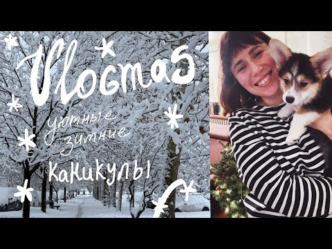 VLOGmas | маленькие рождественские чудеса ✨ 