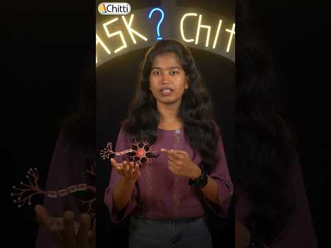 Is that Brain Produce Electricity? | Ask Chitti - 16 | Action Protentional #chittitamil