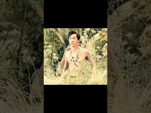 Tawa chasing 2x 🐱