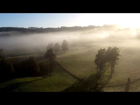 Misty morning FPV - UCTXOorupCLqqQifs2jbz7rQ