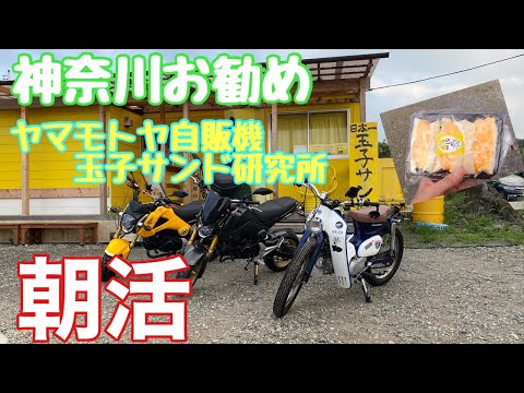 【朝活】ツーリングで美味しい玉子サンド食べに行きました。涼しい道志道、朝活最高#バイク #カブ #カブ主 #grom #4ミニ #朝活 #玉子サンド#道志みち