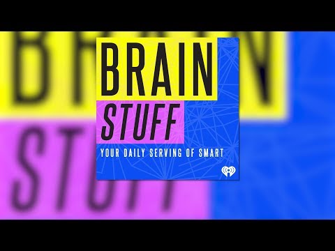 Do Humans and Bananas Really Share Half Their DNA? - BrainStuff
11/19/2019