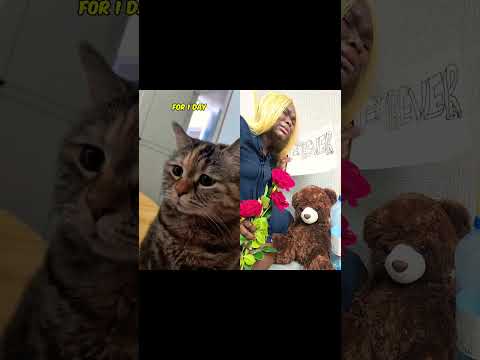 #short#related #viral #fypage 😭😭😭😭😭😭😭😭😭😭😭😭😭😭😭