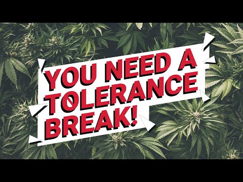You Need A Cannabis Tolerance Break
