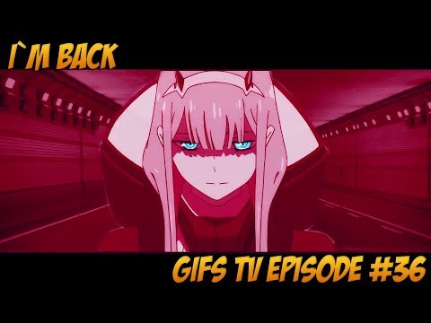 Gifs with sound Episode #36 GIFs TV    I AM BACK !!!