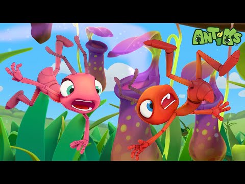 Joey & Boo di Tanaman Licin 🌱 | ANTIKS Indonesia | Kartun Anak | Petualangan Semut ANTIKS