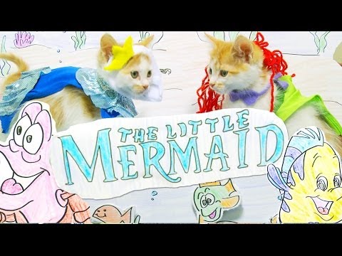 Disney's The Little Mermaid (Cute Kitten Version) - UCPIvT-zcQl2H0vabdXJGcpg
