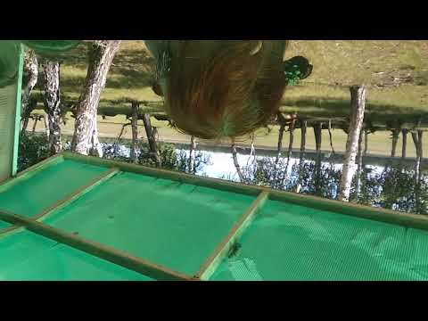 страстная ферма!😊👍