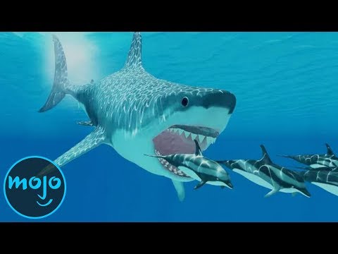 Top 10 Facts About the Megalodon - UCaWd5_7JhbQBe4dknZhsHJg