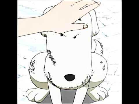 Facts 🗣️ | Chouchou Edit | Onepiece Edit #explorepage #anime #onepiece #onepieceedit #onepieceanime