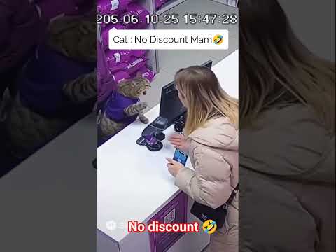 No Discount Mam🤣 #cat #catlovers #cats