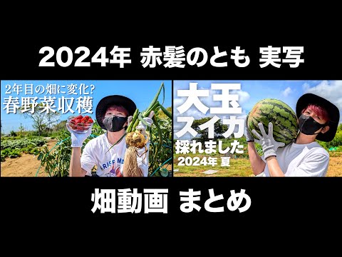 【2024年実写】畑動画まとめ【赤髪のとも】