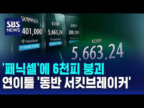 '패닉셀'에 6천피 붕괴..연이틀 '동반 서킷브레이커' / SBS 모닝와이드 1부