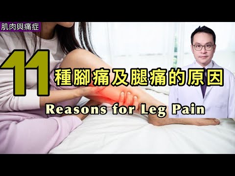 11 個腳痛及腿痛的原因 [Eng Subtitles] 11 Reasons for Leg Pain 