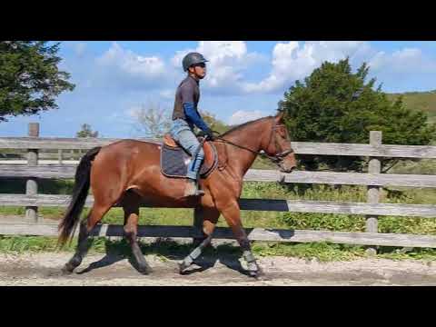 3才牝ファインローズ 2025/09/26