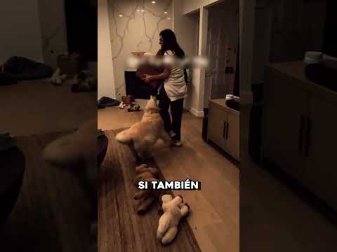 ¡Esta madre no pudo contener la emoción por el regreso de su hijo!