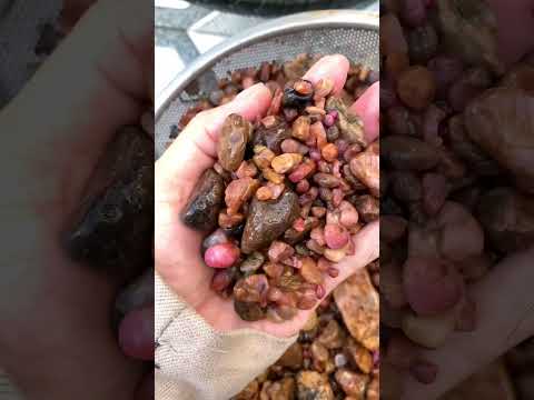 SĂN ĐÁ QUÝ HIẾM 😲 #daquy