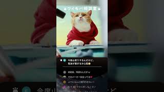 Y!mobile「ワイモバ相談室 スターリンクも料金コミコミ」篇 15秒 for short
