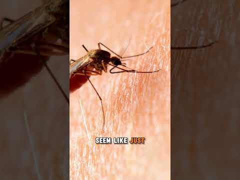 The Deadliest Animal Isn’t What You Think 🦟💀 | #animalfacts #mosquitoes #health