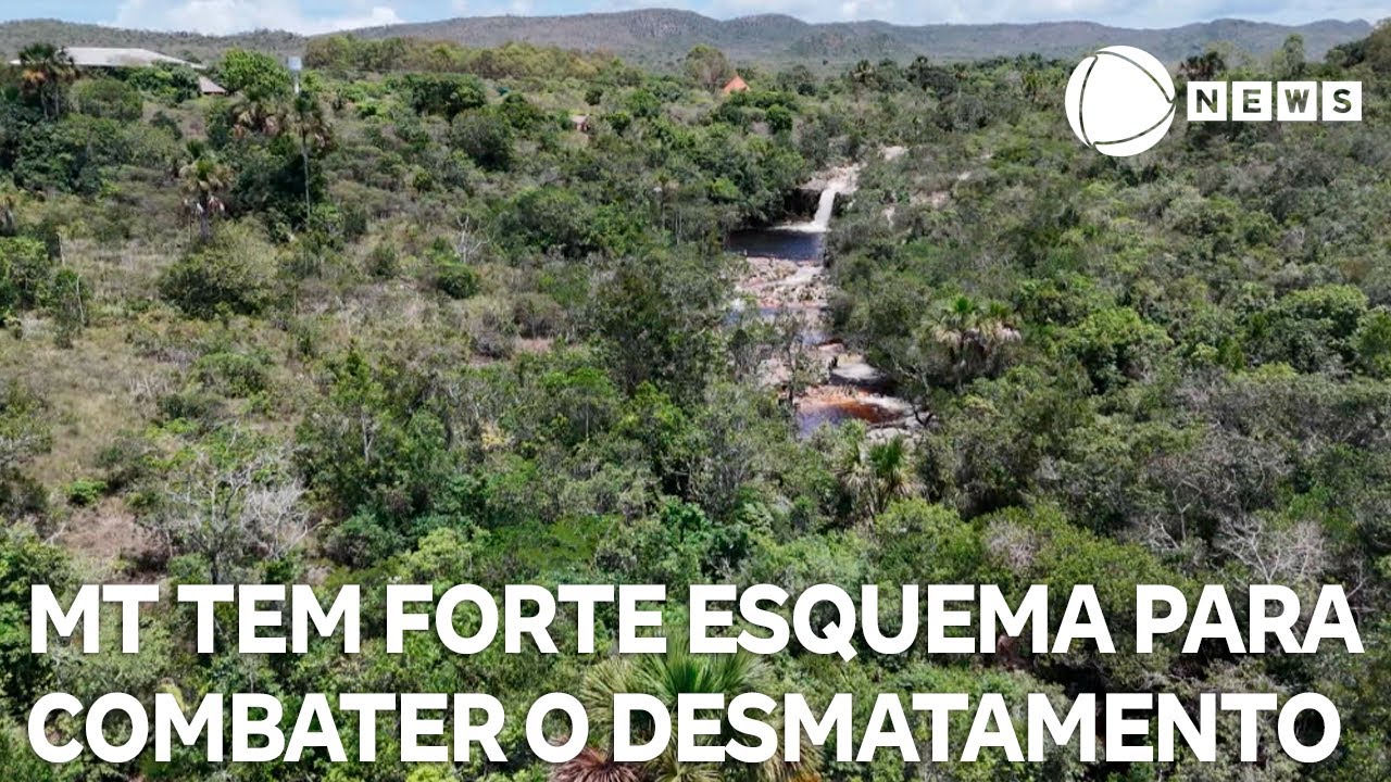 Mato Grosso tem forte esquema de monitoramento para combater o desmatamento