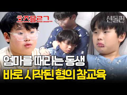 "하지마라💢" 엄마한테 선 넘은 동생, 참다못해 폭발한 6학년 형 | #금쪽같은내새끼 262회