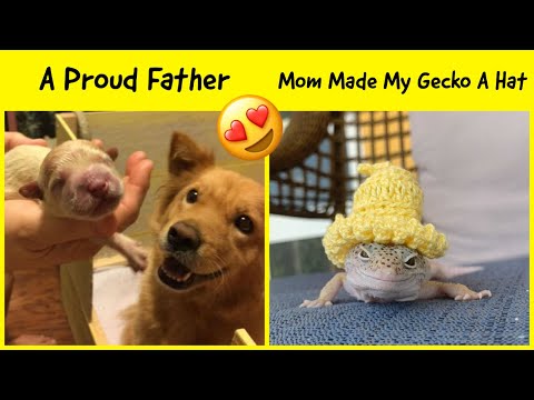 Wholesome Things To Start Your Week With A Boost