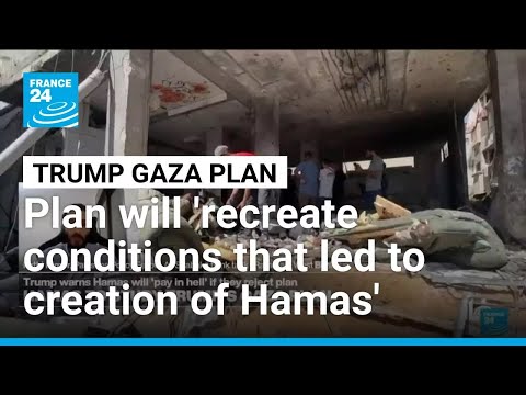 Palestinians see Trump plan as a 'surrender diktat', analyst says • FRANCE 24 English