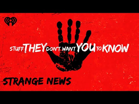 Strange News: Potato/Blood Space Bricks, The Waffle House Index |
STUFF THEY DON'T WANT YOU TO KNOW