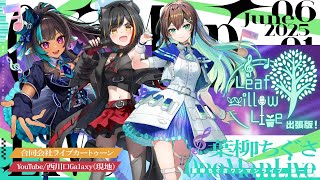 【 3DLIVE / #葉柳ちぐさ2ndワンマン 】Leaf willow Live 出張版【 #リウィライブ 】