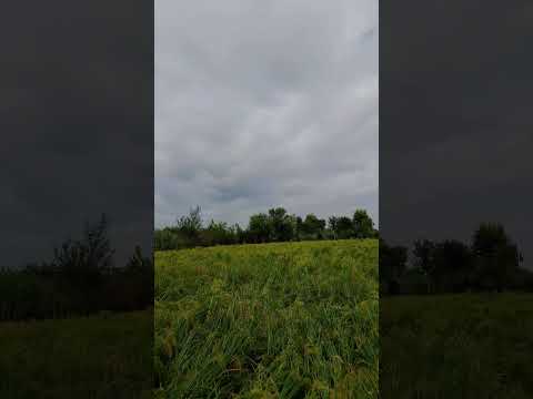 check weather #onemillion